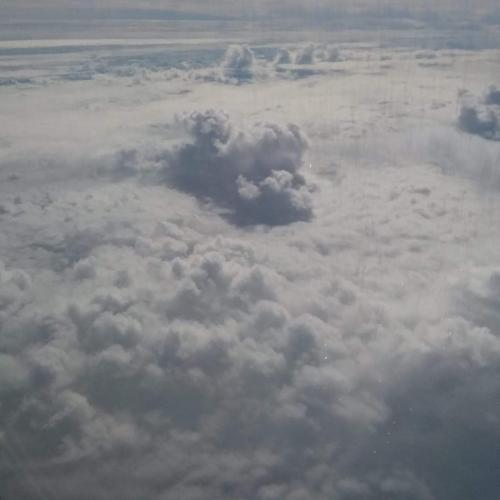 IMG_20201123_084609_373