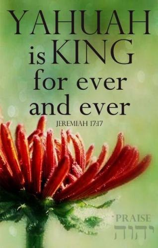 ee1cba54686d913b6c48f10d0250266a