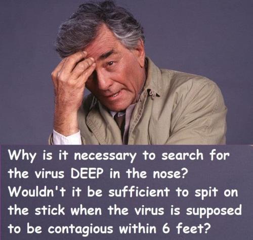 241220868_2933224476927667_4753355118529627103_n