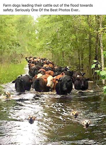 19:05:37 GMT-0400 (EDT)