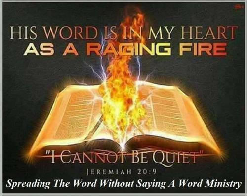 21687834_1532339870181472_9061738783580979232_n