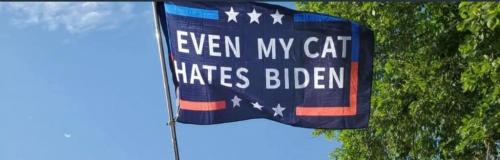 242504114_2057163274434464_5596279220912232531_n