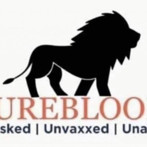 16:56:09 GMT-0700 (PDT)