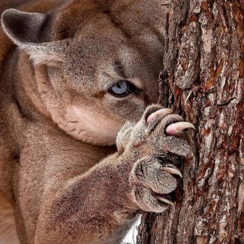 241195701_404677014369311_7407849854815015479_n