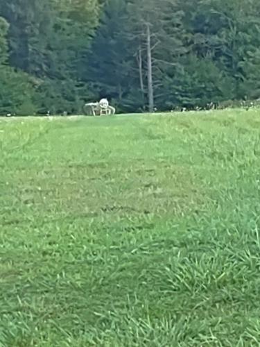 PHOTO_20210919_172322