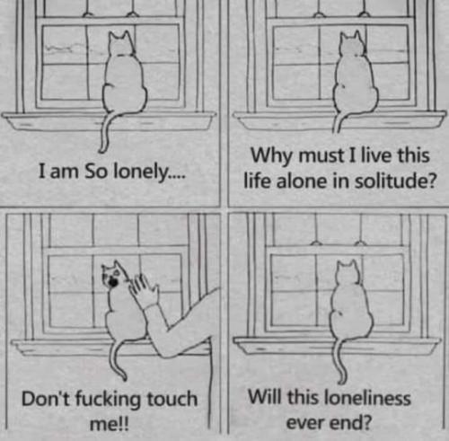 tumblr_80dde4546724175071b60769830f96d7_9aff1cae_540