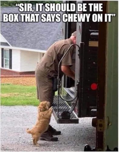 10:01:46 GMT-0400 (EDT).image