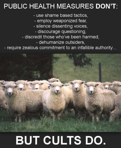 scamdemic22