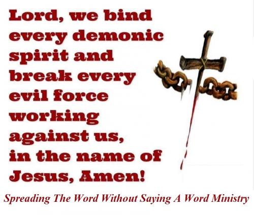 241279752_4168581923252560_6042275691128064009_n