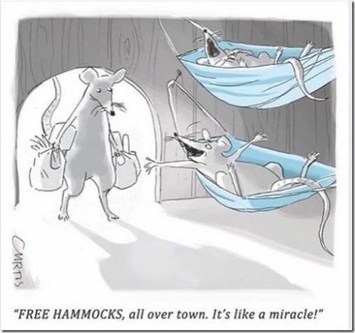 241802505_4949720518388739_5753136888063109407_n