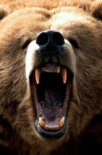 12998743_10204496383889792_5031903883629045360_n