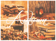 fall-leaves-autumn