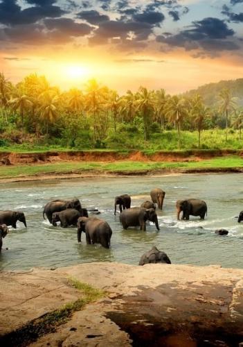 tumblr_edae0bcac337aa170f1f487fff460e2d_750843e2_500