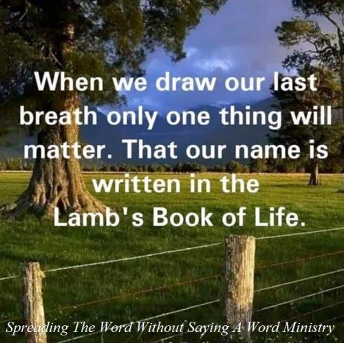 240524213_394524712243773_7201713110214645946_n