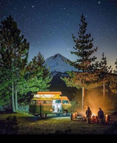 241502320_1213977285696646_9064476342443652476_n