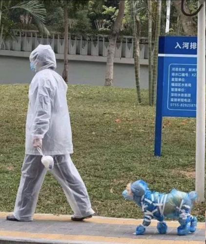 10:51:41 GMT-0400 (EDT)