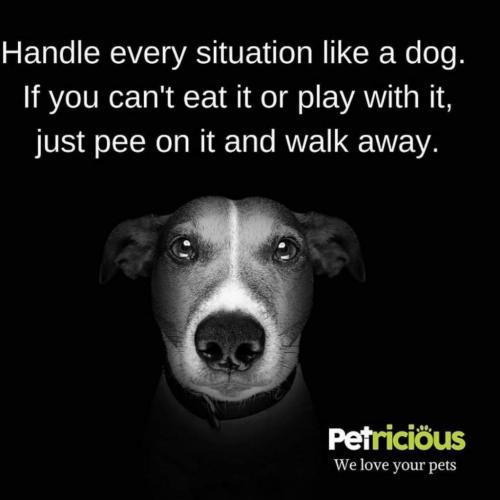 16:19:57 GMT-0700 (PDT)