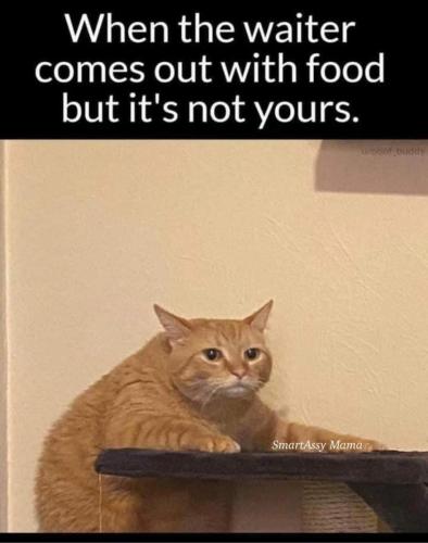 17:31:16 GMT-0400 (EDT)