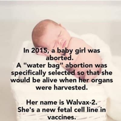 photo_2021-09-29_19-30-03