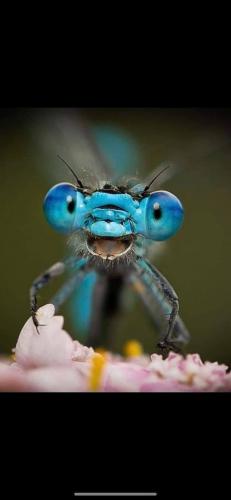 ,                                                                                                                                                                                                                    0   a