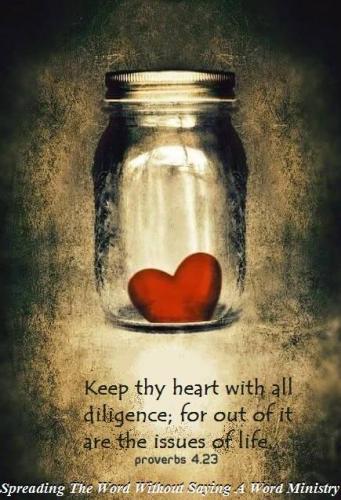 21752445_1529430720472387_5689590017347852879_n