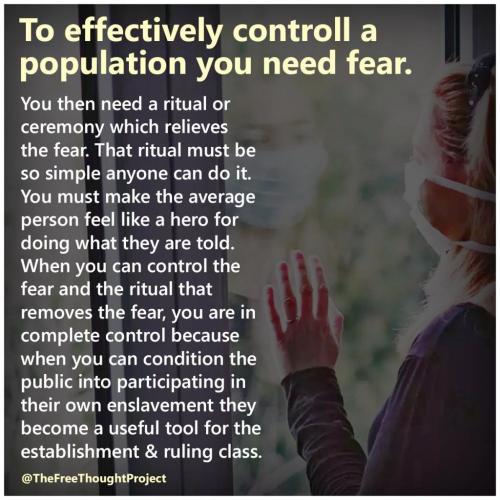 240431444_2616761411964390_5888347864866886218_n