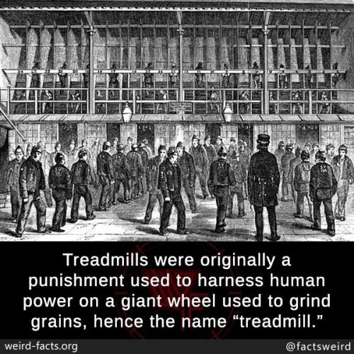 242851185_6905216102829355_3391806523871647870_n