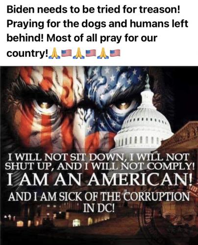 09:42:30 GMT-0400 (EDT).image