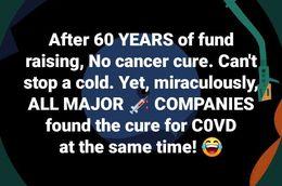 image_1631878685.468