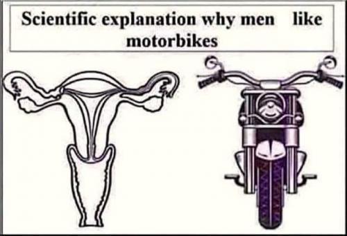 bikes why