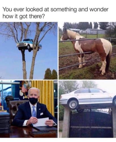 FB_IMG_1632316549089