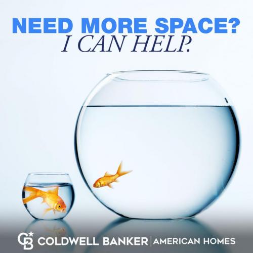 19:24:02 GMT-0400 (EDT).image