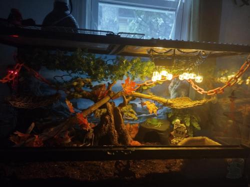 IMG_20210926_190716942_HDR