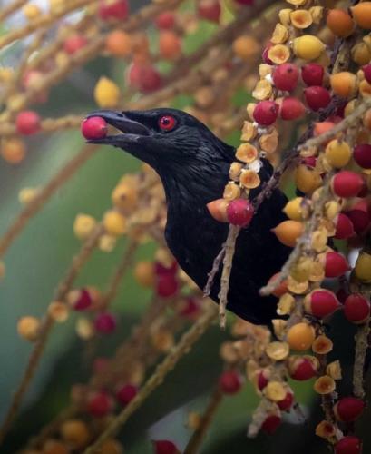 tumblr_a71e1e37ff29e8d440a0a954e28abc4c_05722e43_540