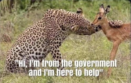 FB_IMG_1632435324006