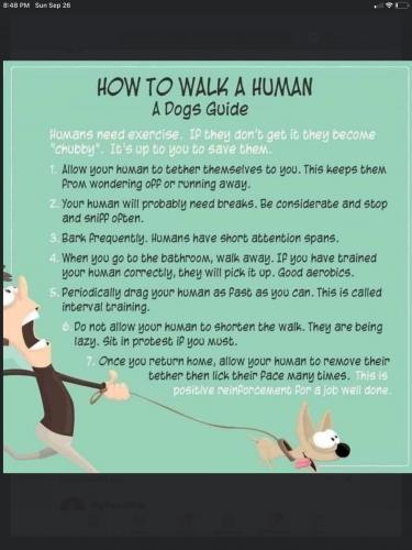 Screenshot 2021-09-26 at 8.48.42 PM