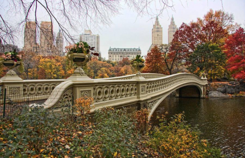 Screenshot_20210902-123248