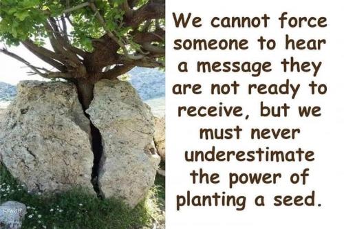 PLANT A SEED