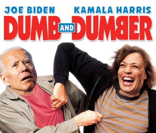 image_1631149790.533