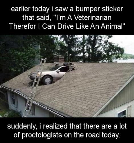 earlier today i saw a bumper sticker that said im a veterinarian therefor i can drive like an animal