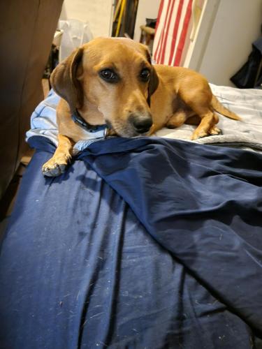 20:36:19 GMT-0500 (CDT)