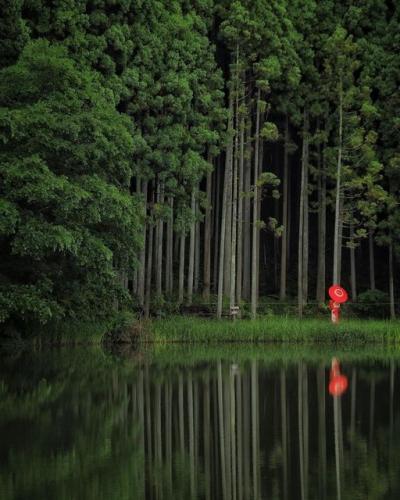 241267339_374196421089237_7606515080948624000_n