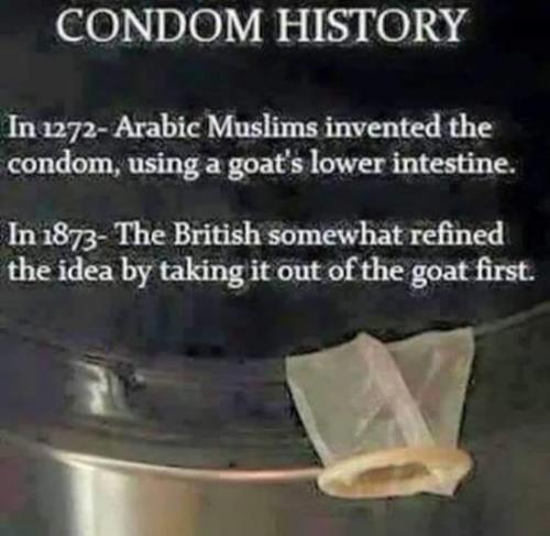 51fd3cb444acb4941889562f8f191feb_1024