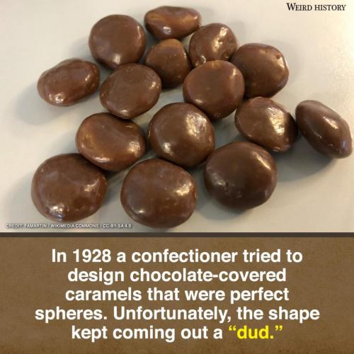 242354417_2330295653793463_4439683725189329957_n