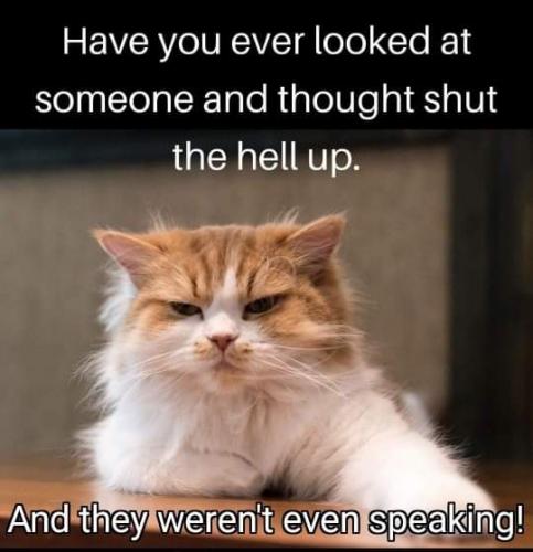 18:33:34 GMT-0400 (EDT)