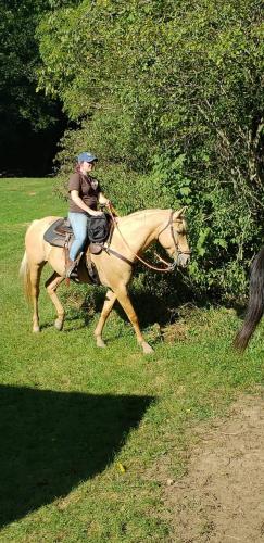 20:50:08 GMT-0400 (EDT)