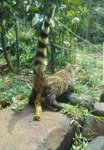 04:35:50 GMT-0500 (CDT)