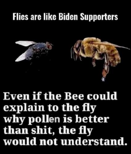 flies & bees