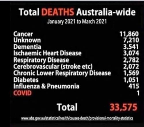 facebook_1627857048449_6827727329740932376