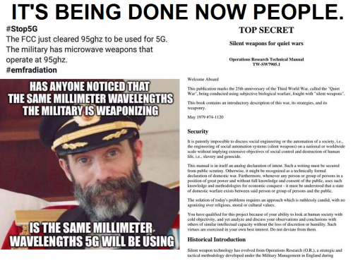 41334963_1955582607857194_7688993239486955520_n